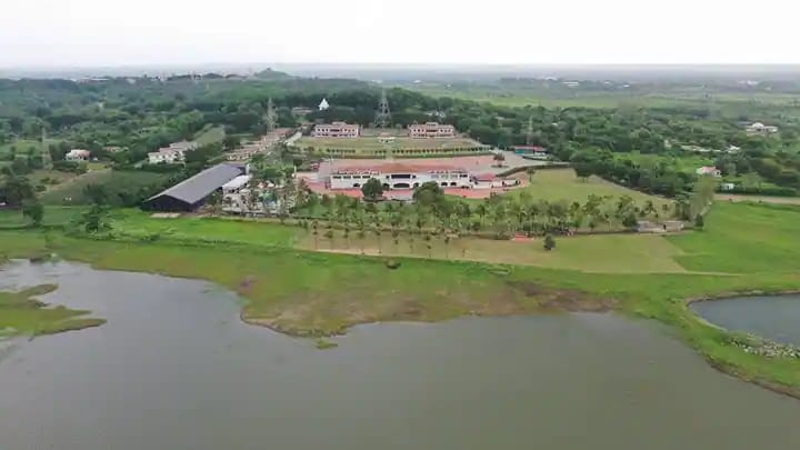 Meadows Surabardi